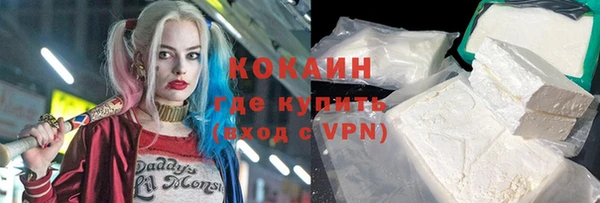 шишки Осташков
