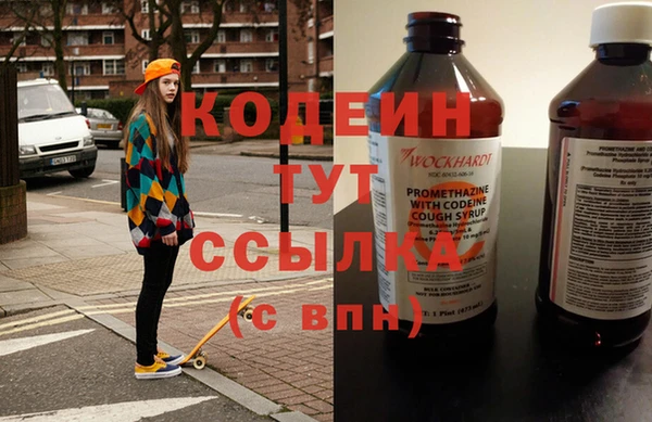 крисы Новозыбков