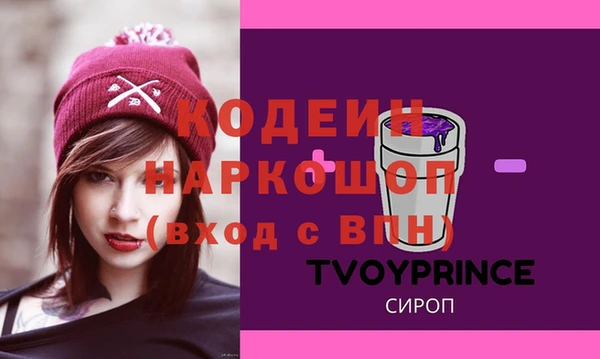 шишки Осташков