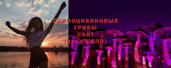 круглые Няндома