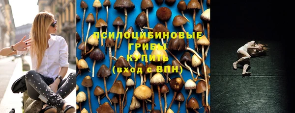 круглые Няндома